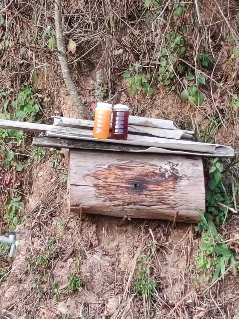澜沧县野生蜂蜜大量有货基地直供品质优可视频看货欢迎咨询来