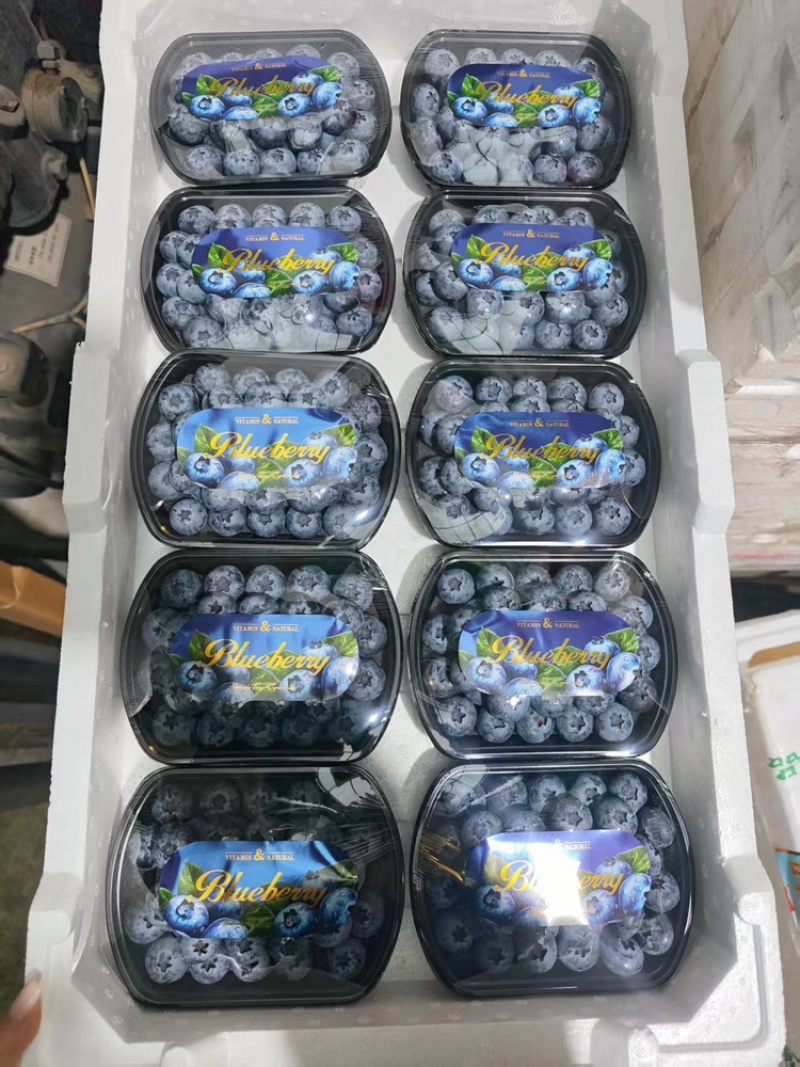 L25蓝莓，产地直发，大量有货，欢迎各位老板咨询采购