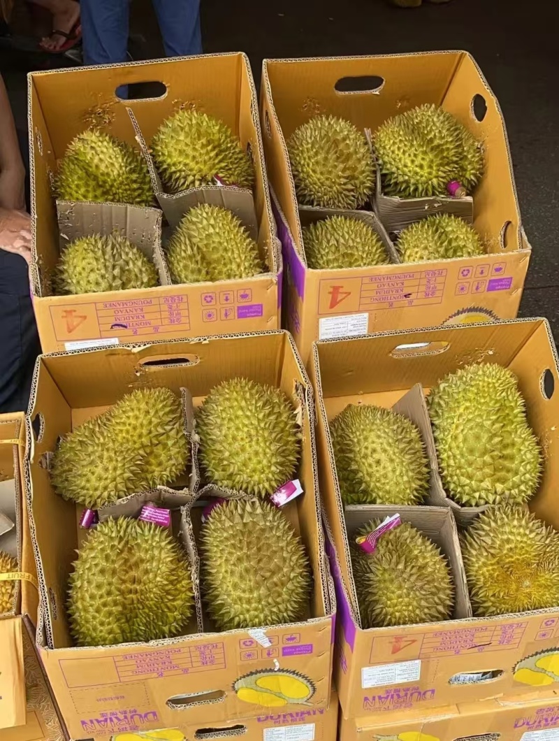 金枕榴莲一手货源，批发价格，坏果包赔