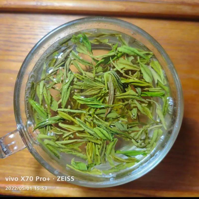 茶厂清仓，特级毛尖50元/斤散茶