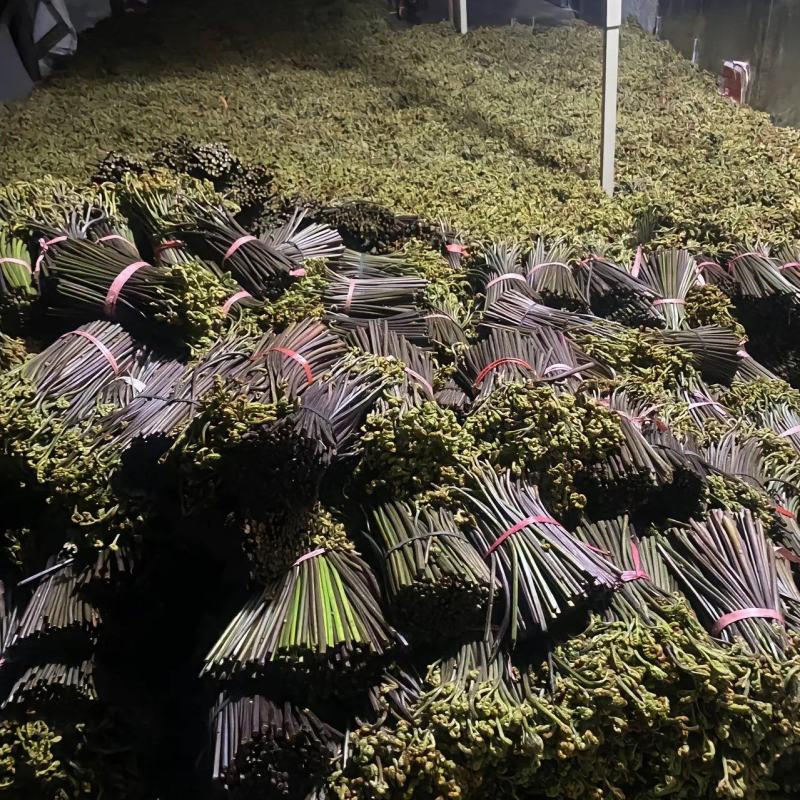 有没有老板收撅菜的