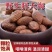 正宗胖大海大果长果圆果无硫泡茶干货中药材泡水花茶批发零售