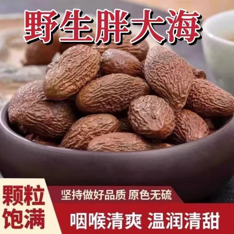 正宗胖大海大果长果圆果无硫泡茶干货中药材泡水花茶批发零售