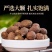 正宗胖大海大果长果圆果无硫泡茶干货中药材泡水花茶批发零售