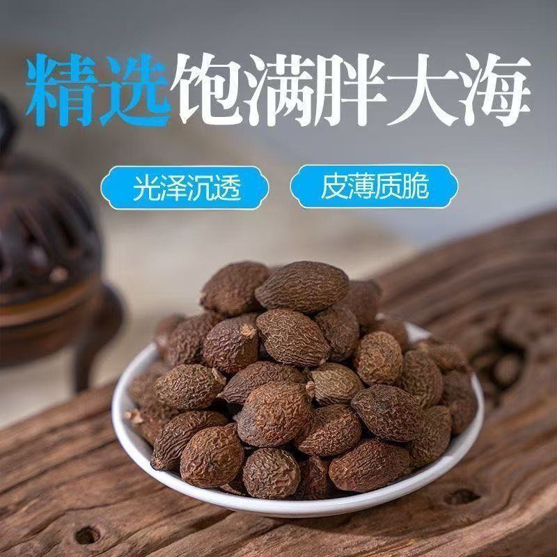 正宗胖大海大果长果圆果无硫泡茶干货中药材泡水花茶批发零售