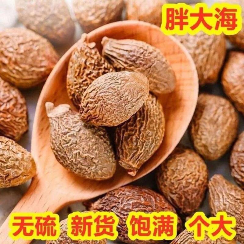 正宗胖大海大果长果圆果无硫泡茶干货中药材泡水花茶批发零售