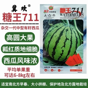 糖心美都西瓜种大果麒麟西瓜红瓤子少西瓜精品美都西瓜种植
