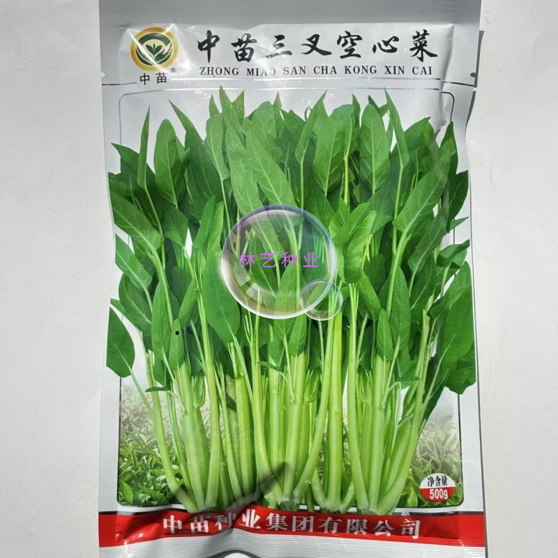中苗三叉空心菜种子三梗空心菜通菜口感细嫩纤维少春夏秋蔬菜