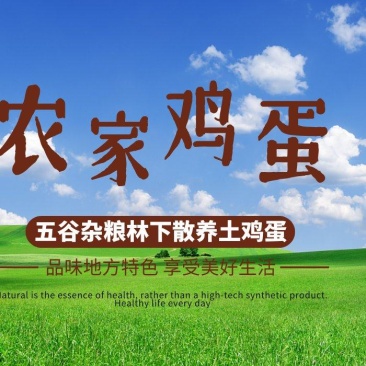 林下五谷杂粮散养土鸡蛋