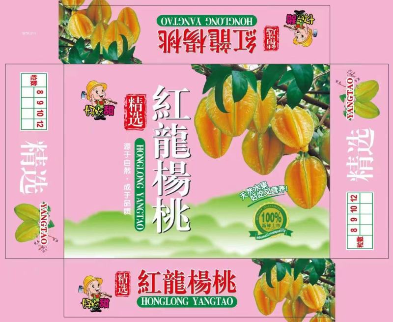 红龙杨桃