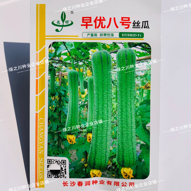 早优八号丝瓜种子长沙农科院选育早熟长丝瓜种子耐寒耐热