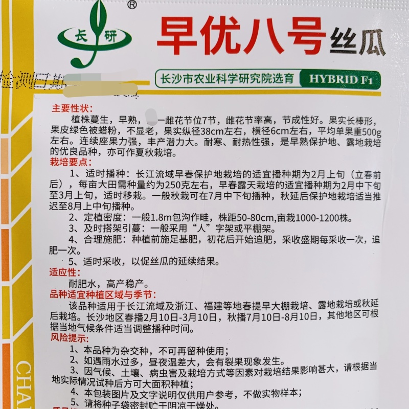 早优八号丝瓜种子长沙农科院选育早熟长丝瓜种子耐寒耐热