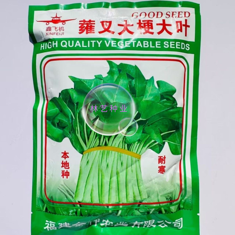 蕹叉大梗大叶空心菜种子脆嫩清甜春夏秋三季蕹菜蔬菜种籽