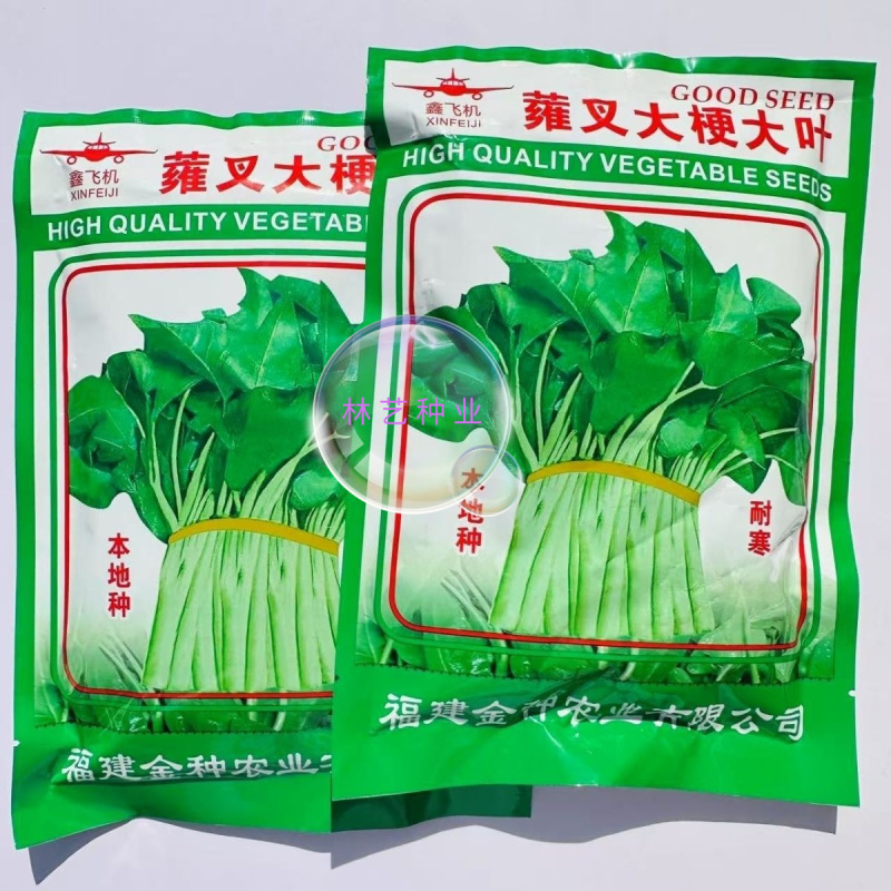 蕹叉大梗大叶空心菜种子脆嫩清甜春夏秋三季蕹菜蔬菜种籽
