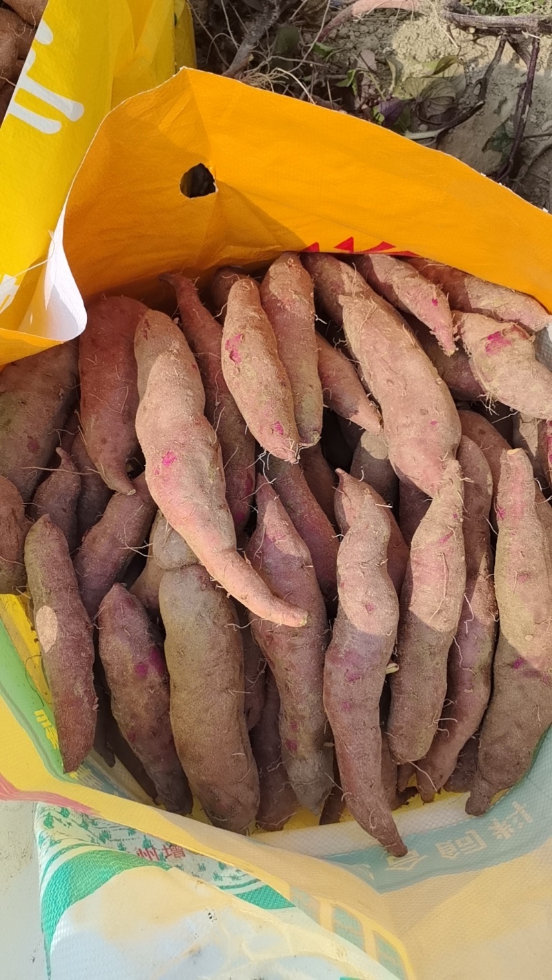 一点红，榴莲薯