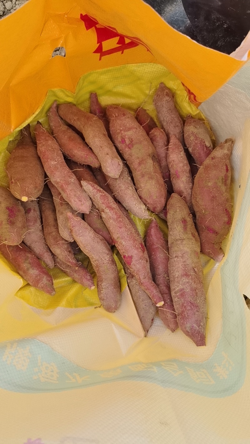 一点红，榴莲薯