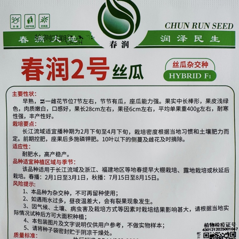 春润2号丝瓜种子3比2类型早熟节节有瓜中长棒丝瓜种籽耐寒