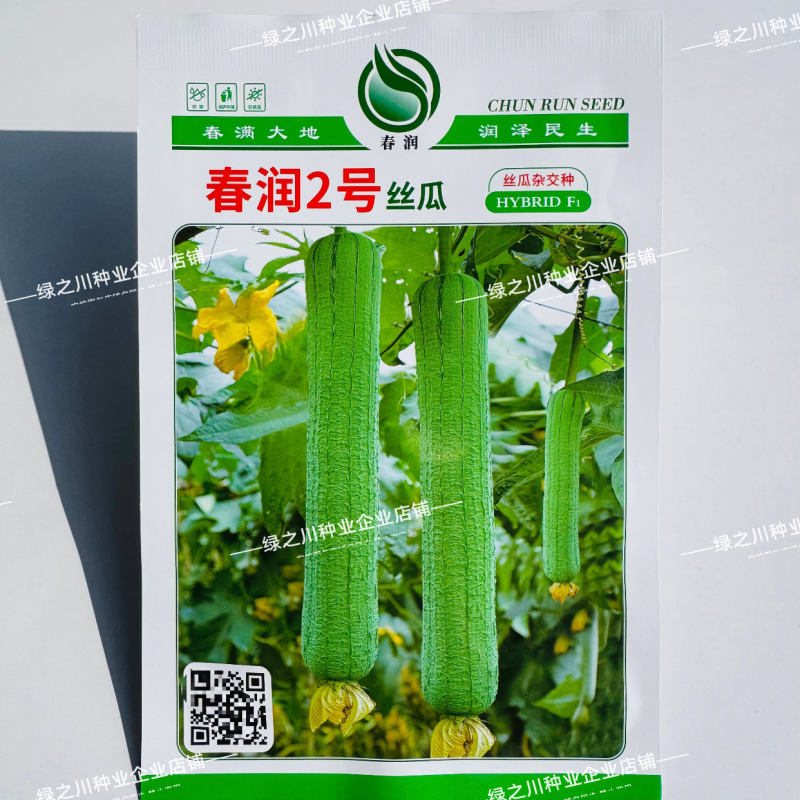 春润2号丝瓜种子3比2类型早熟节节有瓜中长棒丝瓜种籽耐寒