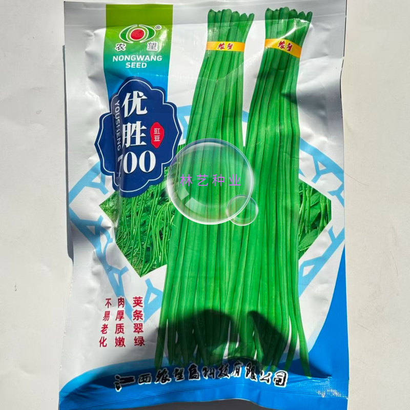 优胜700豇豆种子翠绿色厚肉长豆角种子高产光泽早中熟