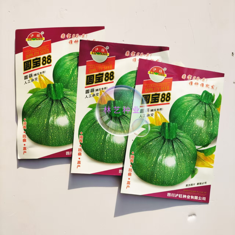 圆宝88圆形西葫芦种子杂交短蔓矮生油亮嫩南瓜种籽耐低温