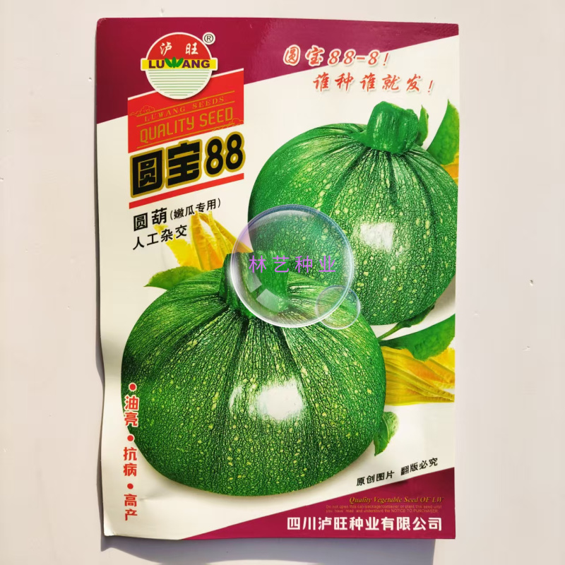 圆宝88圆形西葫芦种子杂交短蔓矮生油亮嫩南瓜种籽耐低温