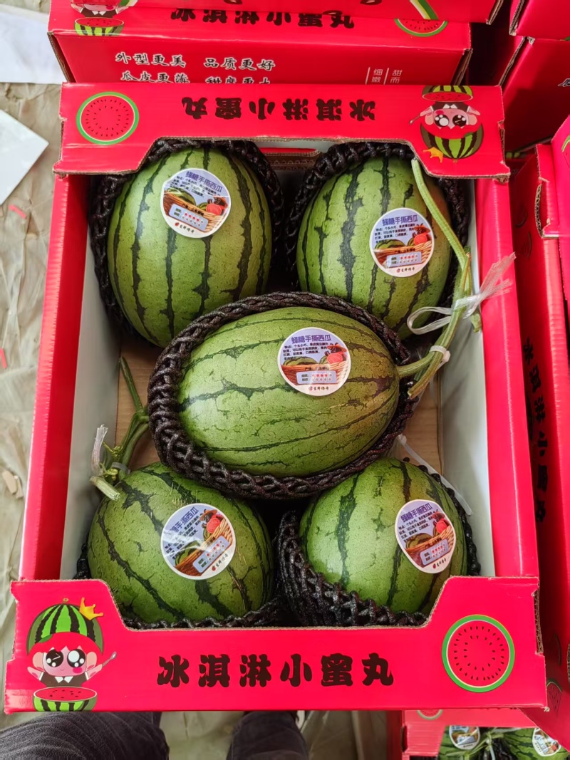 小糖丸西瓜皮薄瓜甜大棚吊瓜