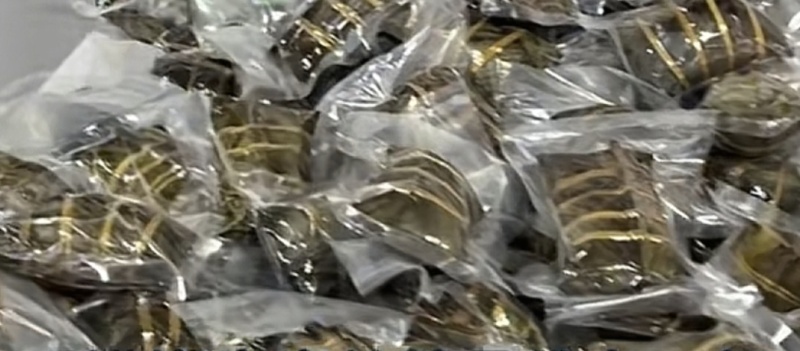 鲜肉灰粽纯手工制作用料讲究味道不错。
