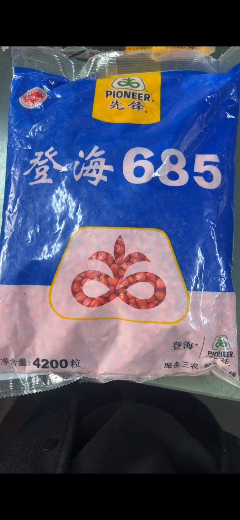 登海685玉米种子活杆成熟高产抗病矮杆