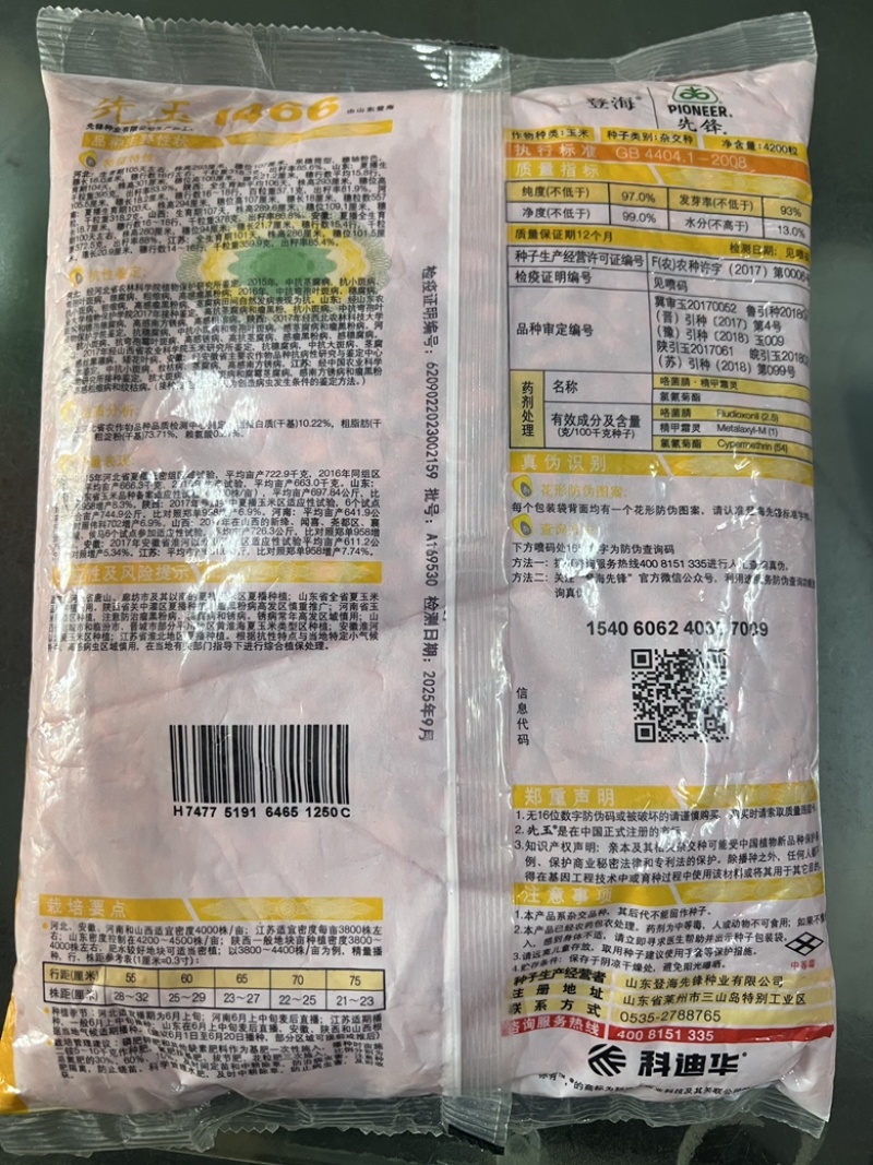 先玉1466玉米种子粮饲两用活杆成熟抗锈抗倒