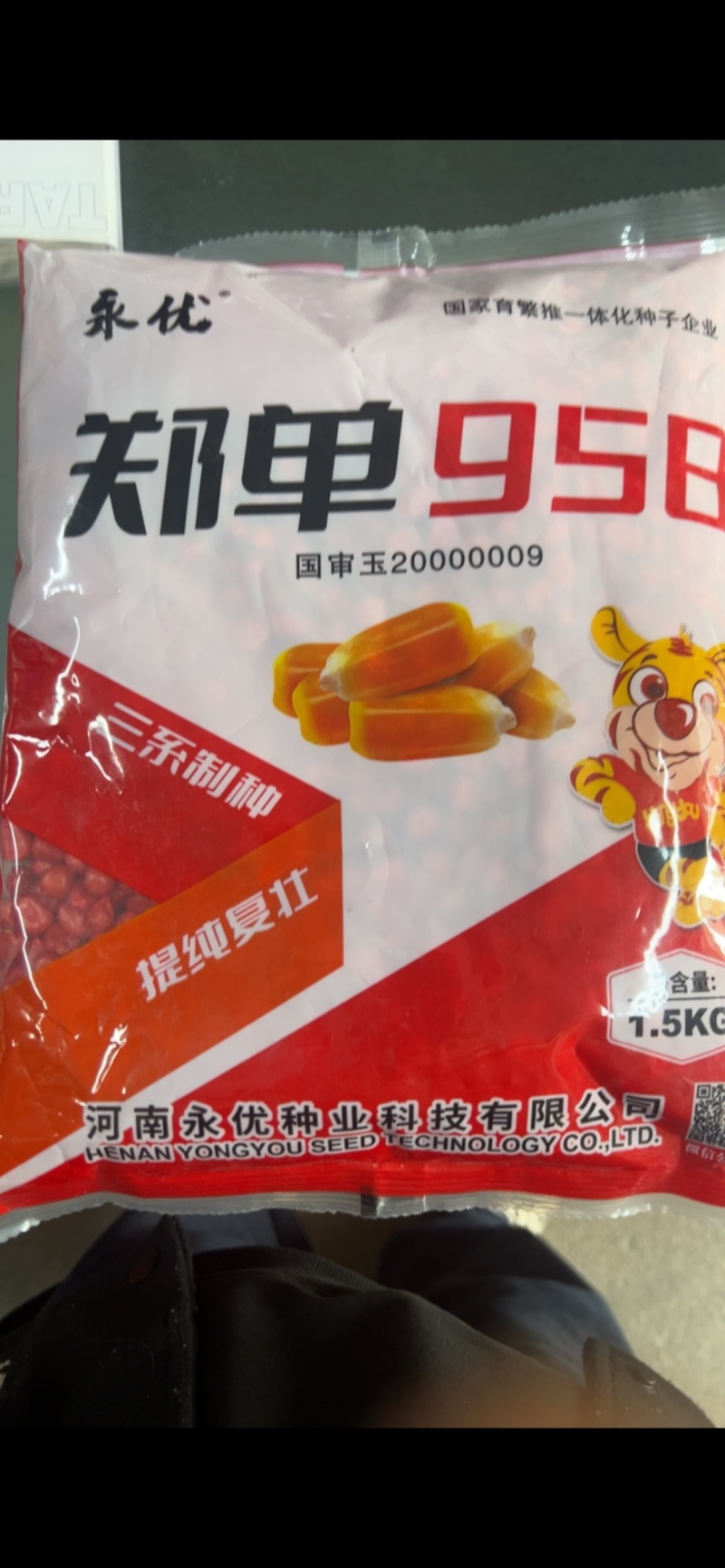 【正宗新货】郑单958玉米种子进口种衣剂高纯度