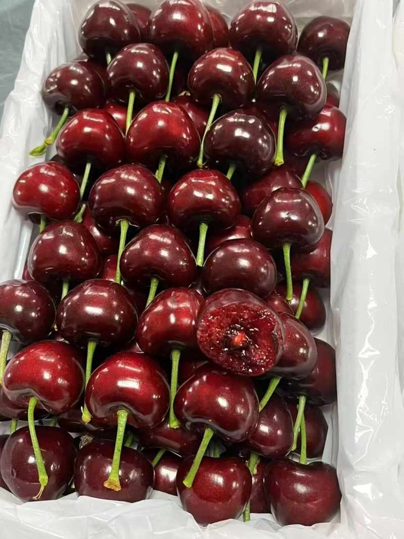精品美早大樱桃已大量上市产地直发供电商超市批发市场视频看货