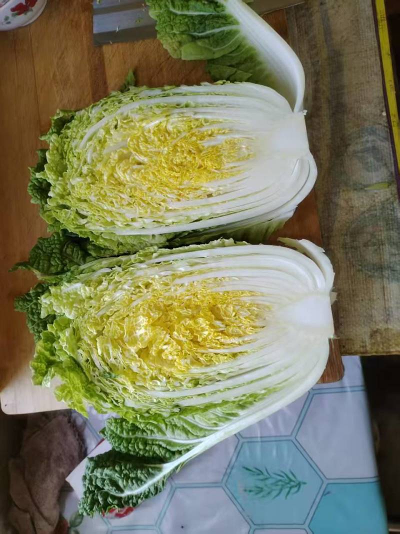 白菜