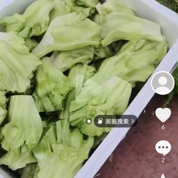 青菜块