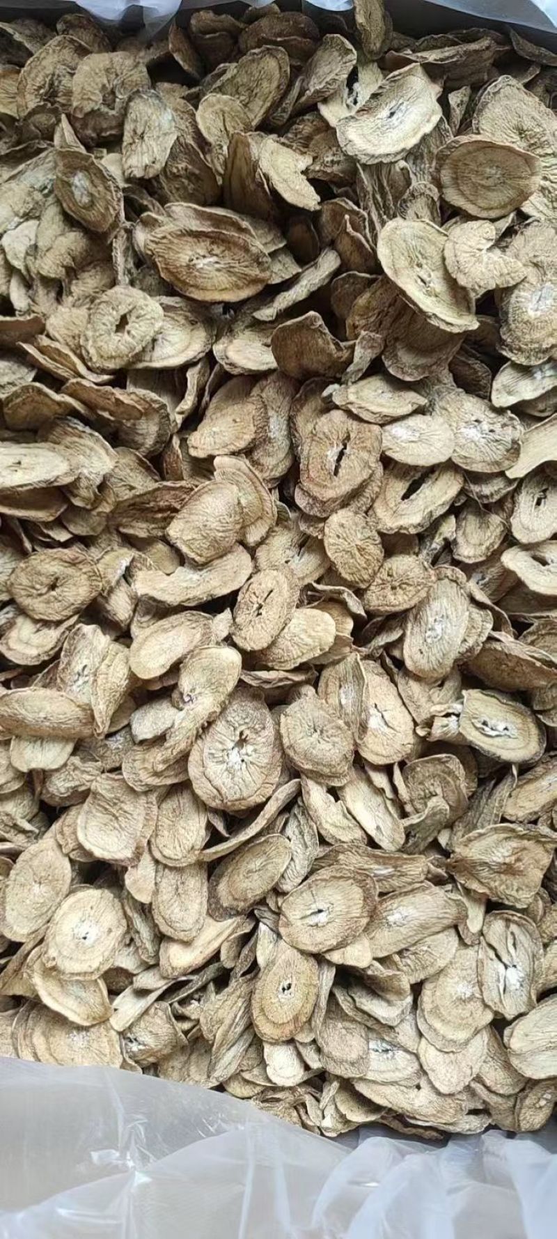 牛蒡牛蒡茶精品牛蒡茶批发牛蒡茶产地直销量大从优