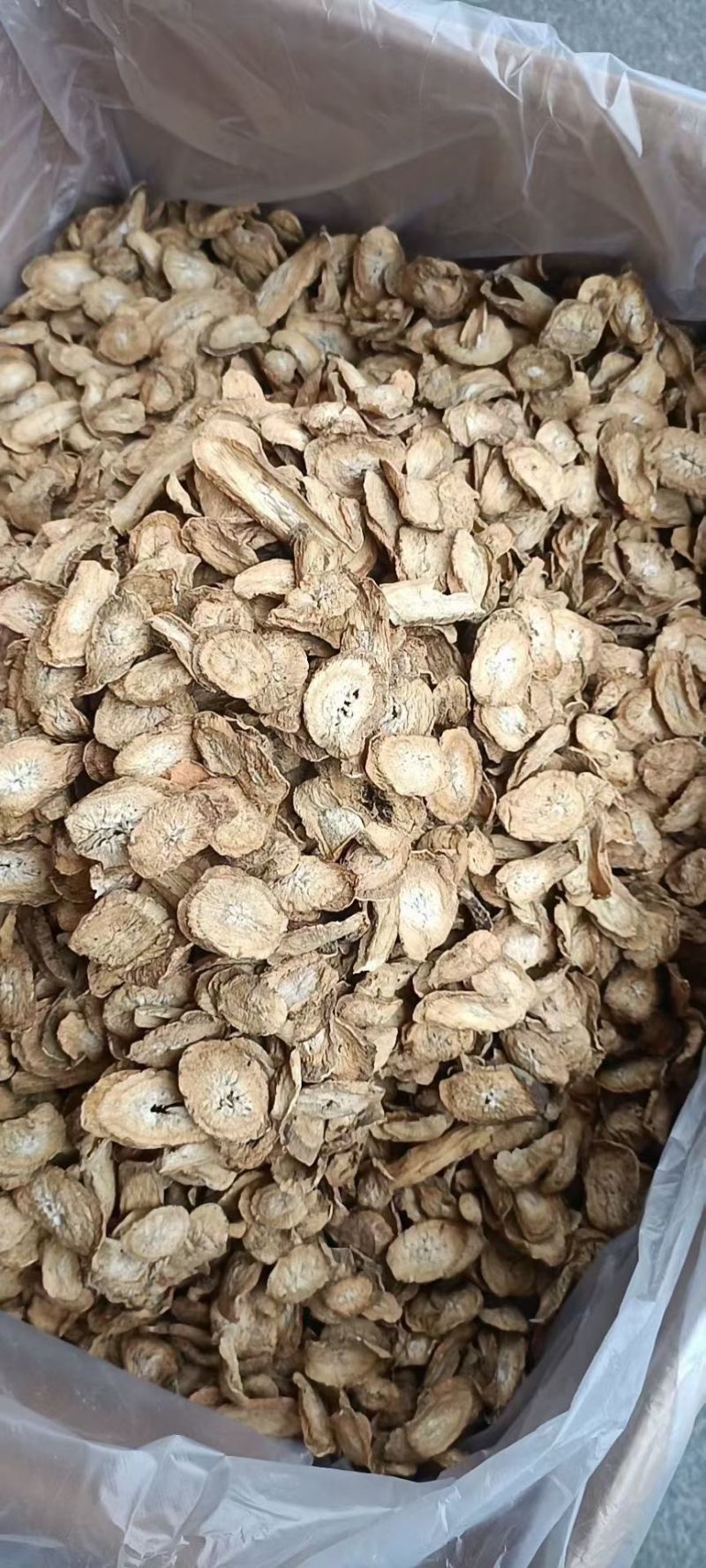 牛蒡牛蒡茶精品牛蒡茶批发牛蒡茶产地直销量大从优
