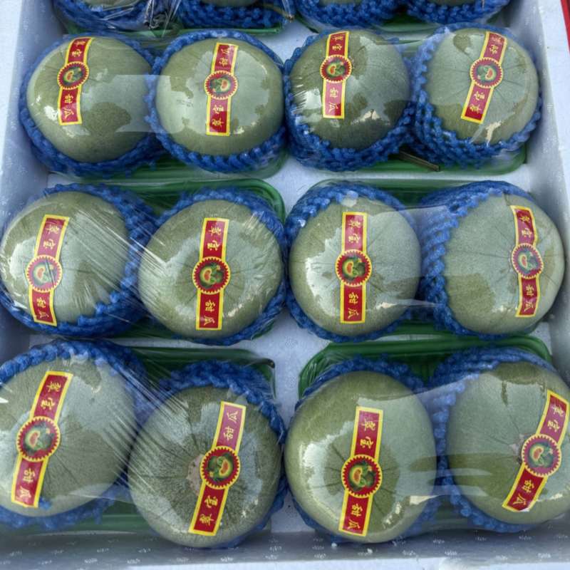 绿宝甜瓜皮薄肉厚新鲜产地货