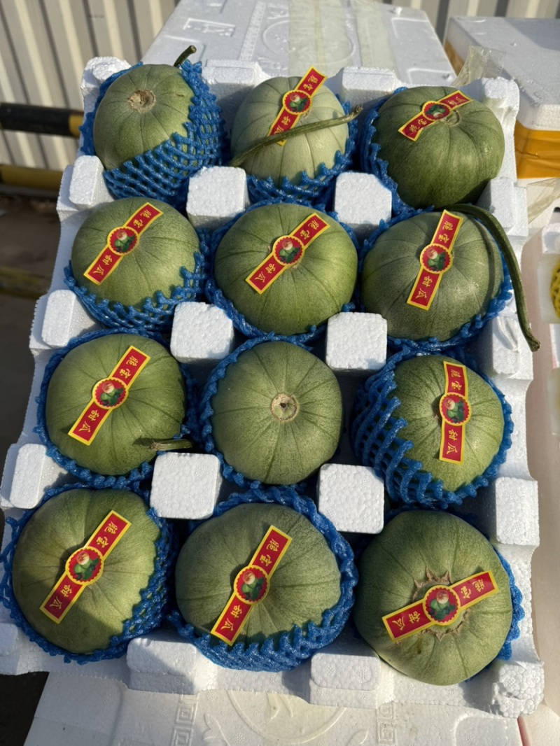 绿宝甜瓜皮薄肉厚新鲜产地货