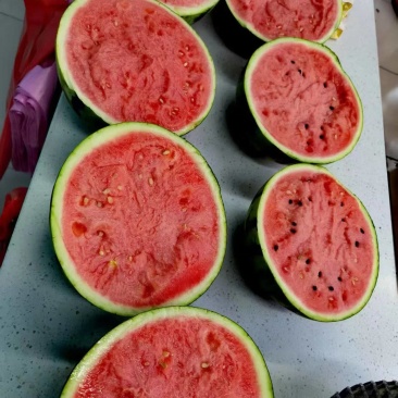 麒麟美都西瓜大量供应包熟包甜品质保证可视频看货