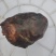 鹅宝大量现货供应，货源充足，对接全国客商货发全国
