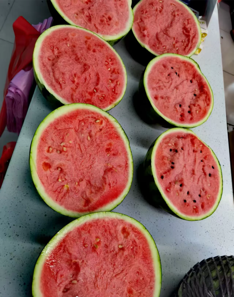麒麟美都西瓜大量供应包熟包甜品质保证可视频看货
