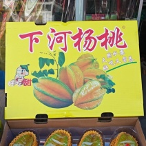 红龙杨桃礼盒装