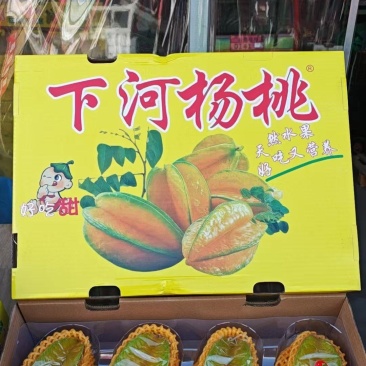 红龙杨桃礼盒装