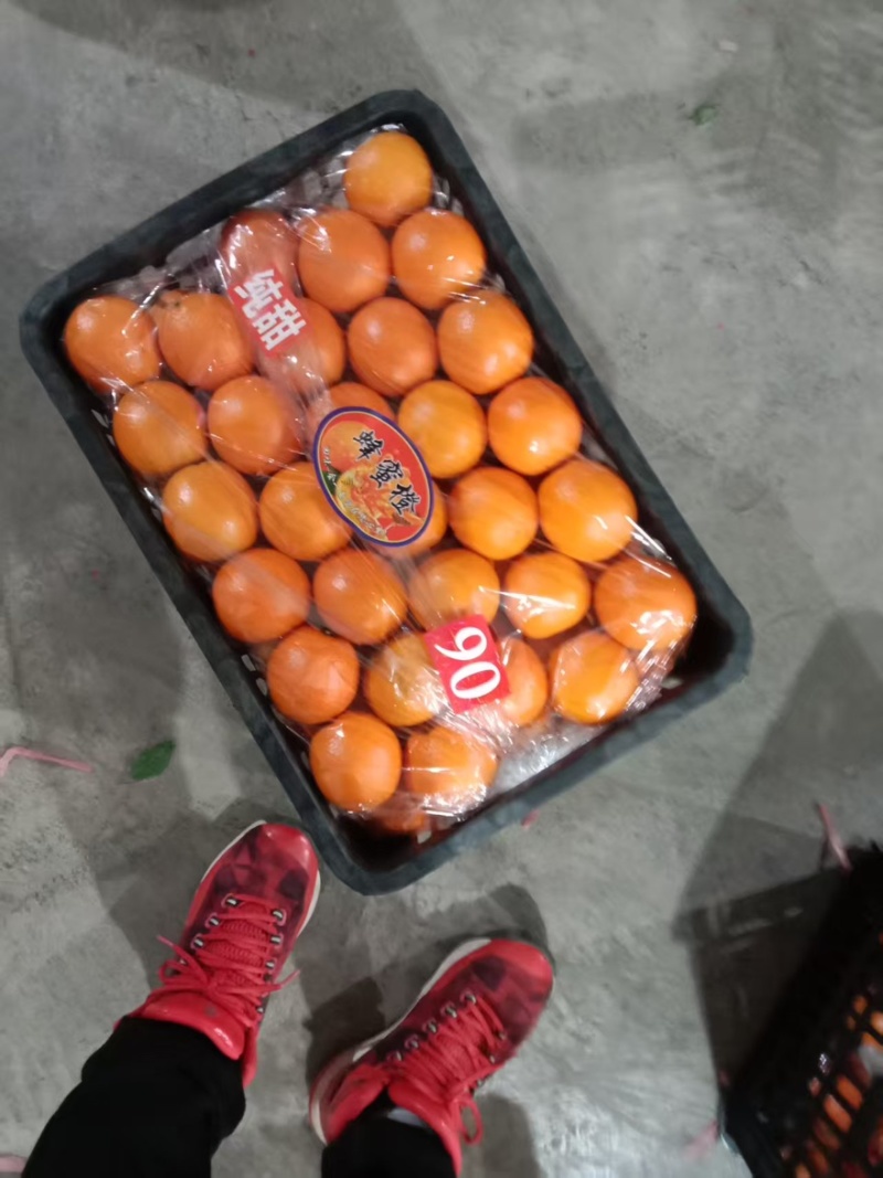 精品纽荷尔脐橙65~70mm全国发货量大价优欢迎