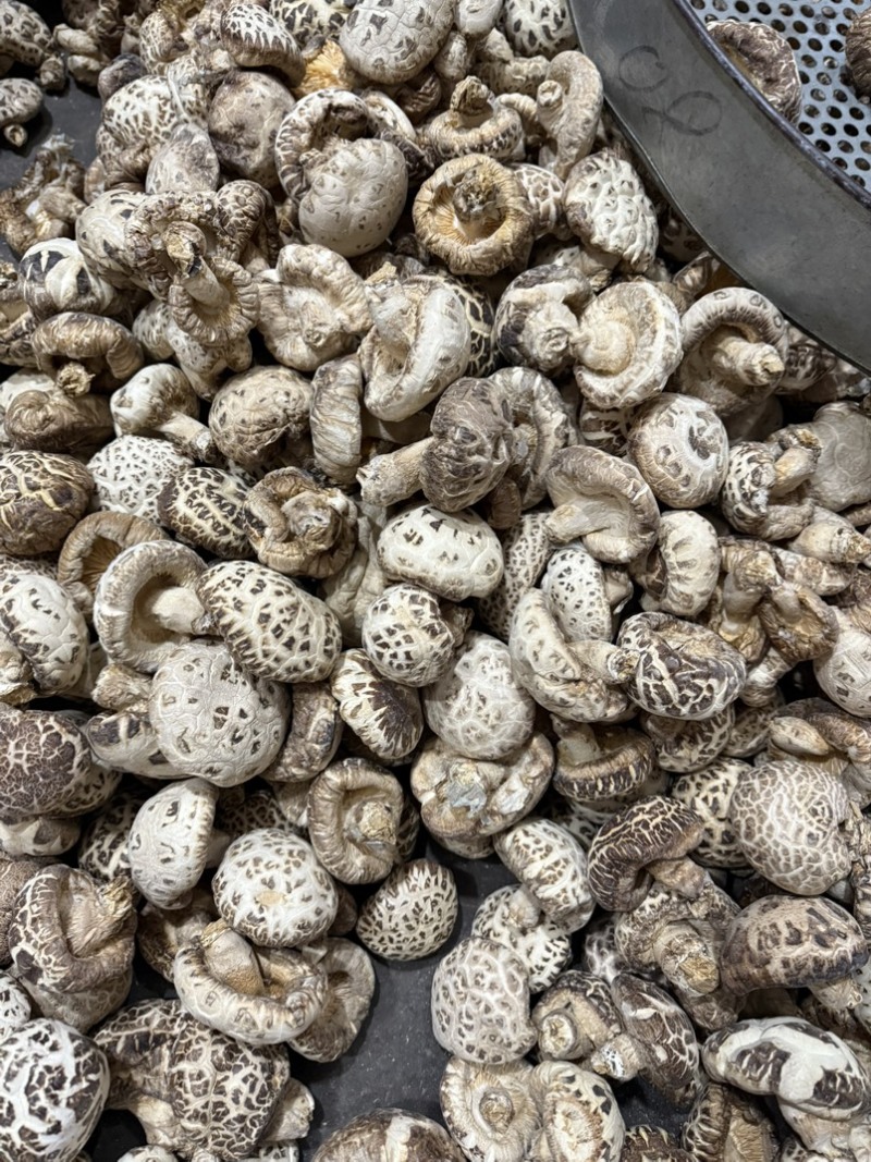 包邮5-6厘米泌阳大花菇小花菇2026新货