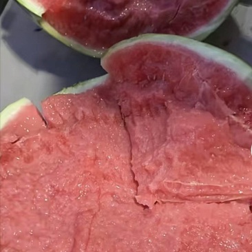 精品无籽麒麟西瓜大量供应包熟包甜品质保证可视频看货