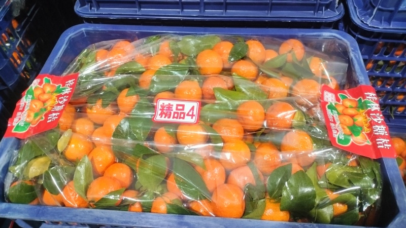 广西桂林砂糖橘产地直发