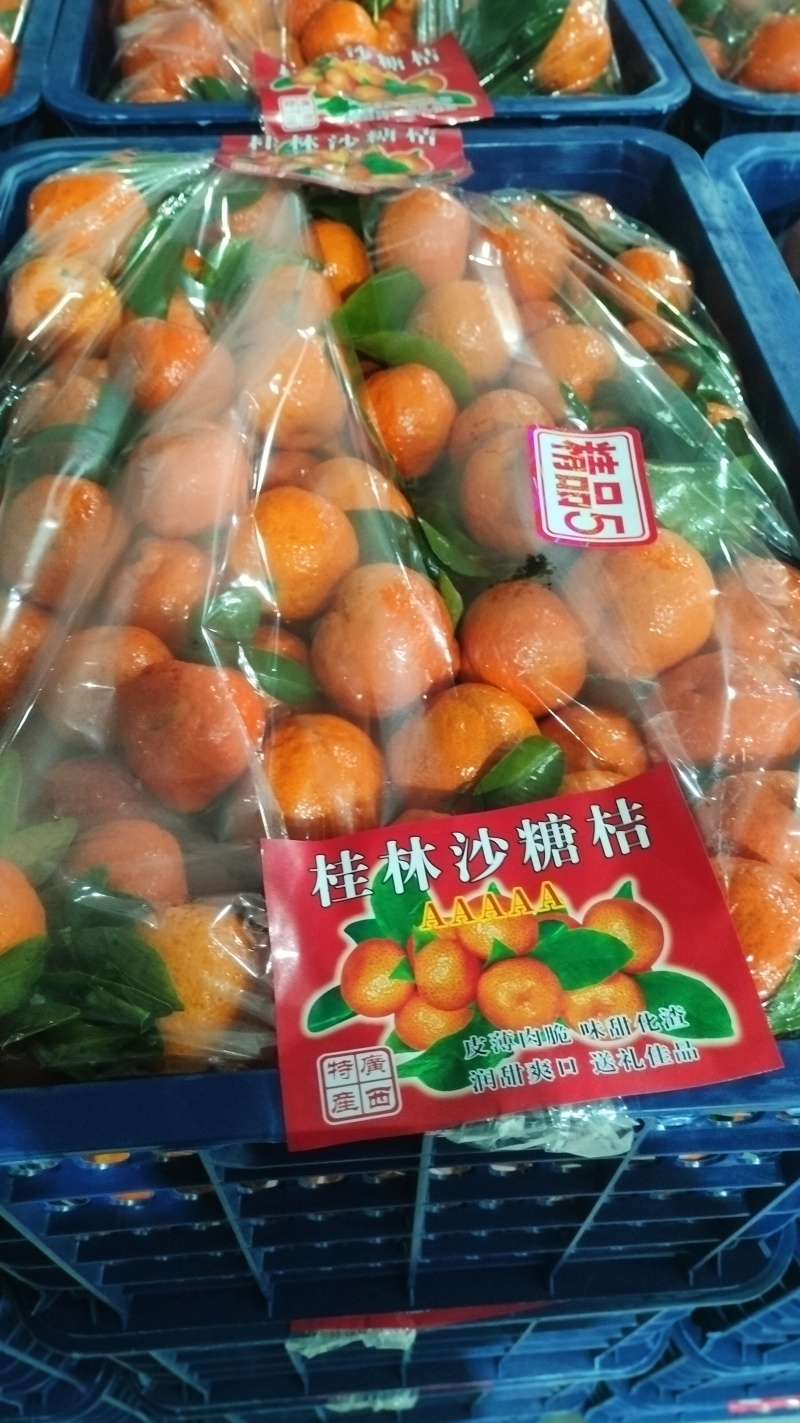 广西桂林砂糖橘产地直发