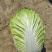 湖北黄心大白菜，诚信经营，保证品质，价格合理。