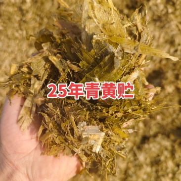 青贮玉米秸秆