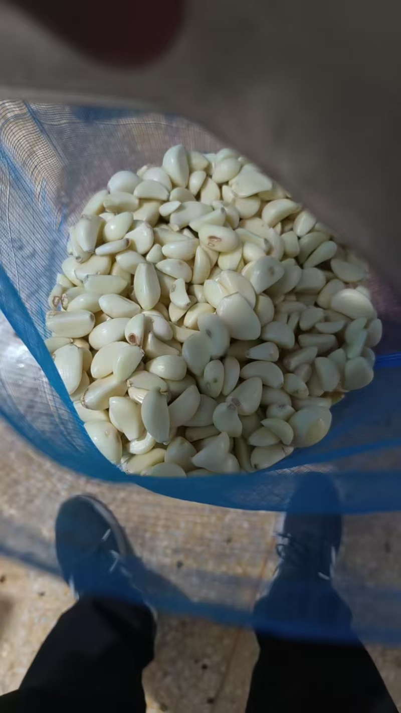 【精选】特级蒜米品质保证对接商超食品厂欢迎洽谈